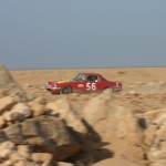 IMG_0394